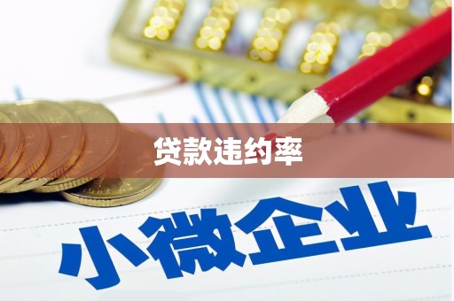 普湾新区贷款违约率