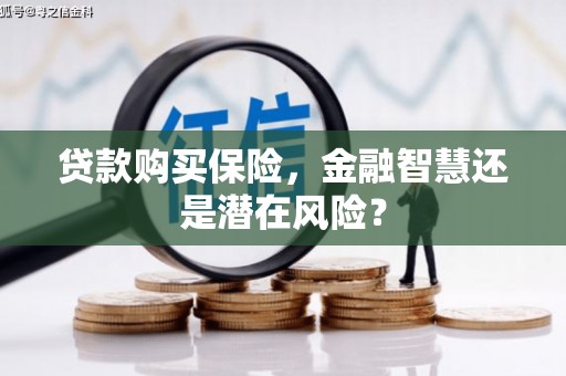普湾新区贷款购买保险，金融智慧还是潜在风险？