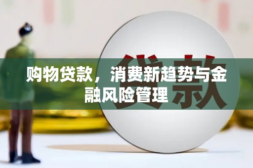 普湾新区购物贷款，消费新趋势与金融风险管理