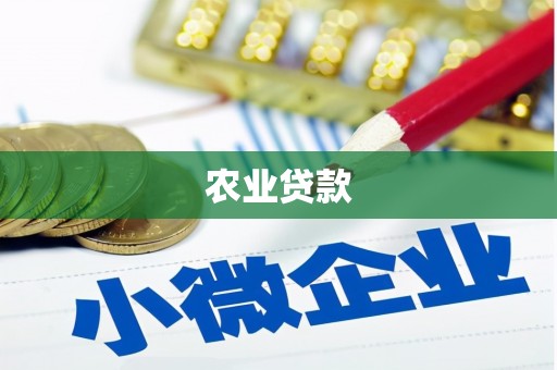 普湾新区农业贷款