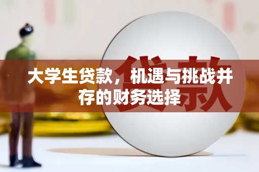 普湾新区大学生贷款，机遇与挑战并存的财务选择