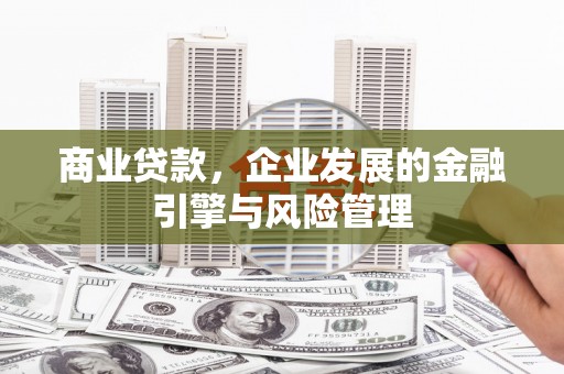 普湾新区商业贷款，企业发展的金融引擎与风险管理