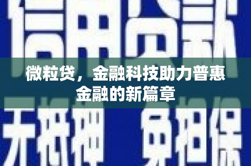 普湾新区微粒贷，金融科技助力普惠金融的新篇章