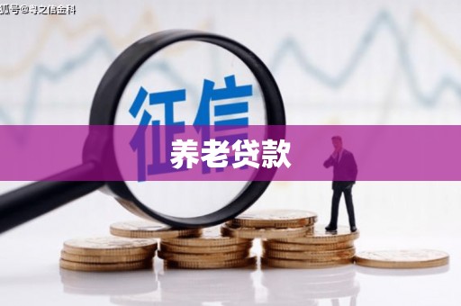 普湾新区养老贷款