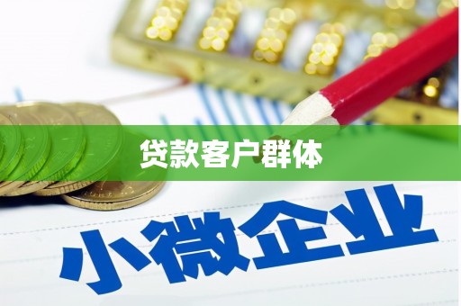 普湾新区贷款客户群体