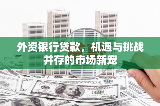 普湾新区外资银行贷款，机遇与挑战并存的市场新宠
