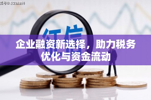 普湾新区企业融资新选择，助力税务优化与资金流动