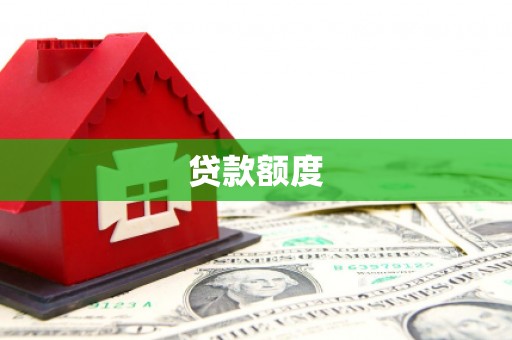 普湾新区贷款额度