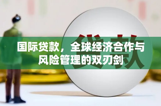 普湾新区国际贷款，全球经济合作与风险管理的双刃剑