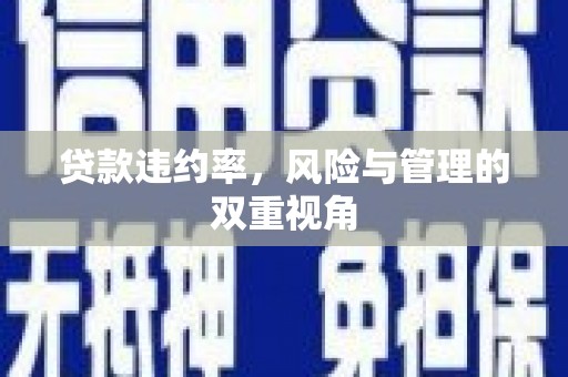 普湾新区贷款违约率，风险与管理的双重视角