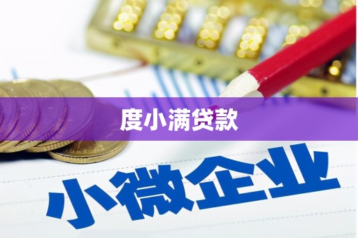 普湾新区度小满贷款