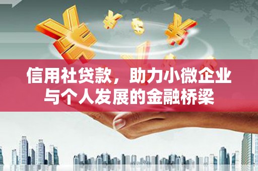 普湾新区信用社贷款，助力小微企业与个人发展的金融桥梁