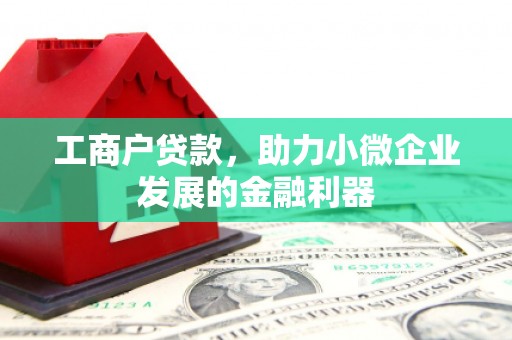 普湾新区工商户贷款，助力小微企业发展的金融利器