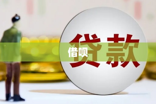 普湾新区借呗