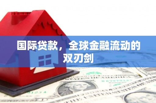普湾新区国际贷款，全球金融流动的双刃剑