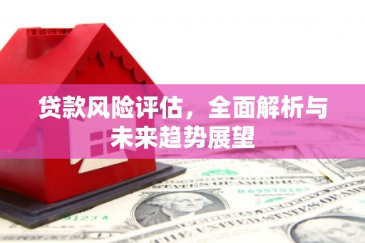 普湾新区贷款风险评估，全面解析与未来趋势展望