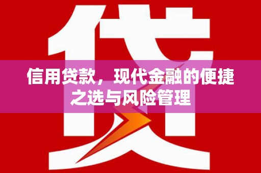 普湾新区信用贷款，现代金融的便捷之选与风险管理