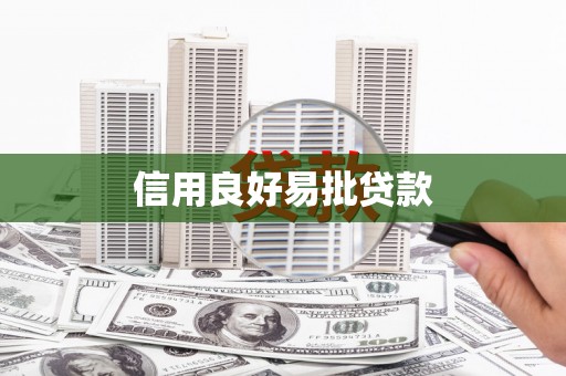 普湾新区信用良好易批贷款