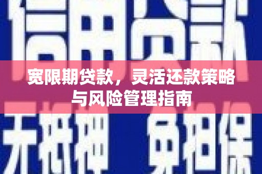 普湾新区宽限期贷款，灵活还款策略与风险管理指南
