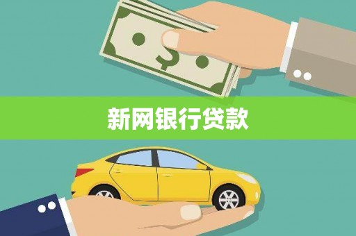 普湾新区新网银行贷款
