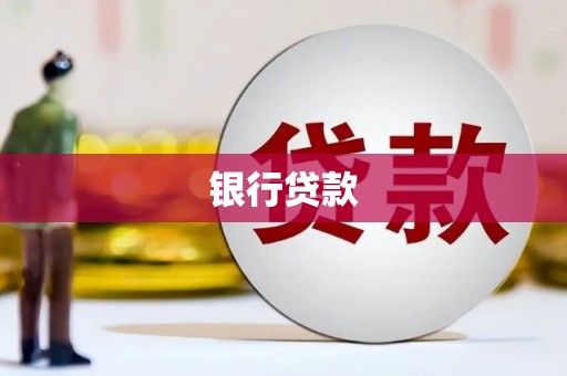 普湾新区银行贷款