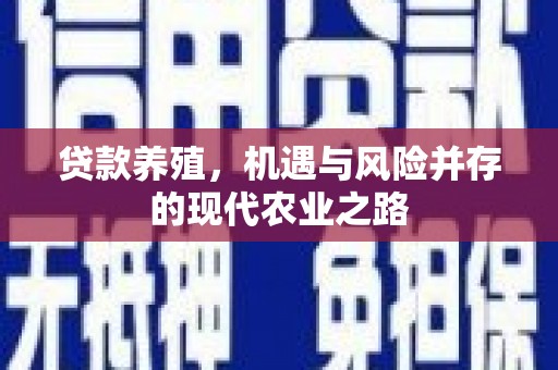 普湾新区贷款养殖，机遇与风险并存的现代农业之路