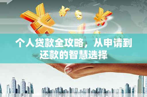 普湾新区个人贷款全攻略，从申请到还款的智慧选择