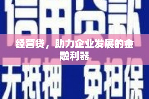 普湾新区经营贷，助力企业发展的金融利器