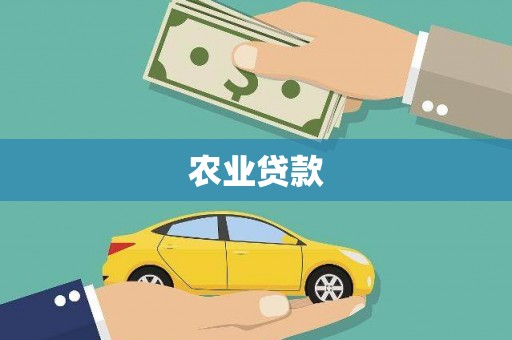 普湾新区农业贷款