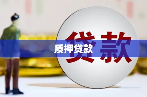 普湾新区质押贷款