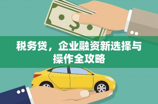 普湾新区税务贷，企业融资新选择与操作全攻略