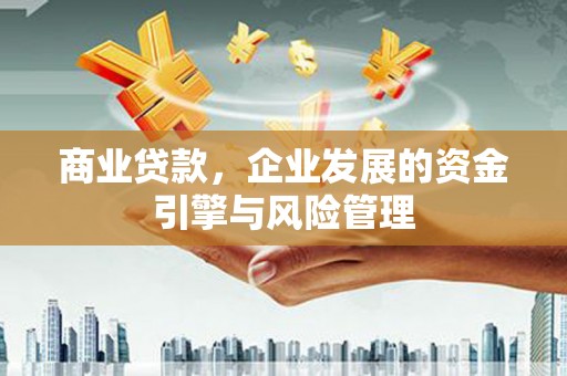 普湾新区商业贷款，企业发展的资金引擎与风险管理