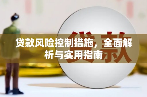 普湾新区贷款风险控制措施，全面解析与实用指南