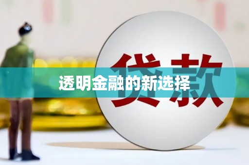 普湾新区透明金融的新选择