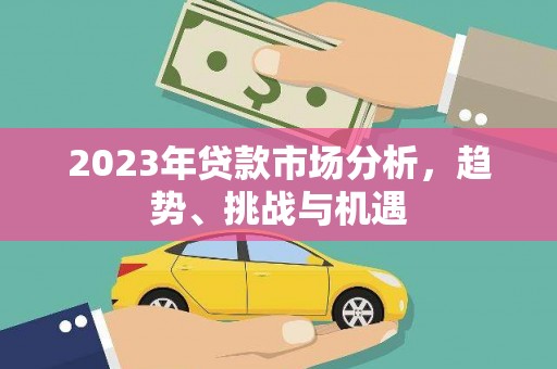 普湾新区2023年贷款市场分析，趋势、挑战与机遇