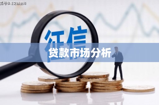普湾新区贷款市场分析