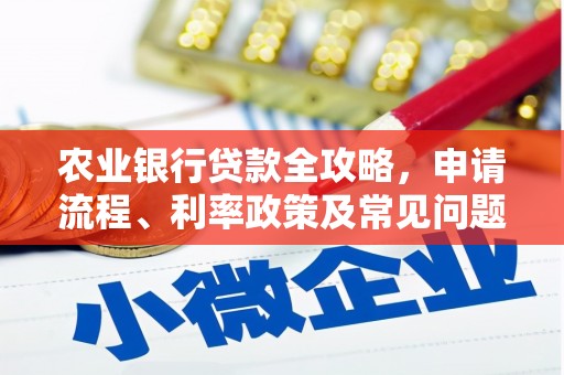 普湾新区农业银行贷款全攻略，申请流程、利率政策及常见问题解析