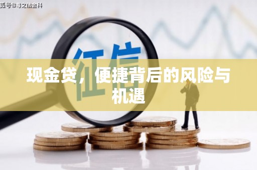 普湾新区现金贷，便捷背后的风险与机遇