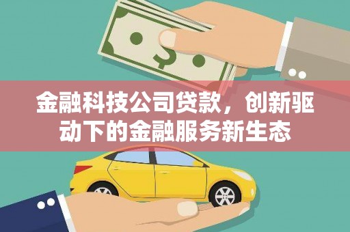 普湾新区金融科技公司贷款，创新驱动下的金融服务新生态
