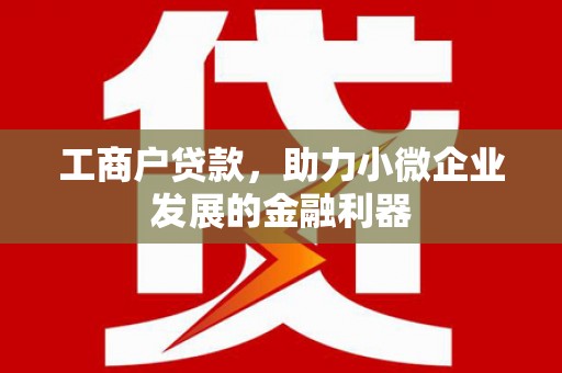 普湾新区工商户贷款，助力小微企业发展的金融利器