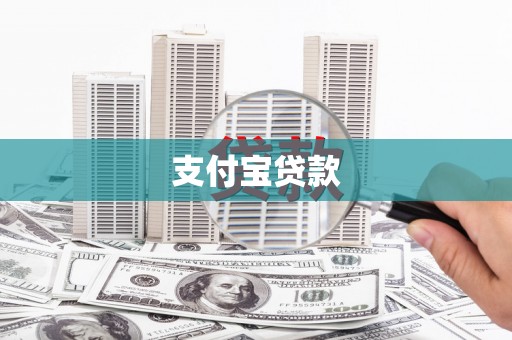 普湾新区支付宝贷款