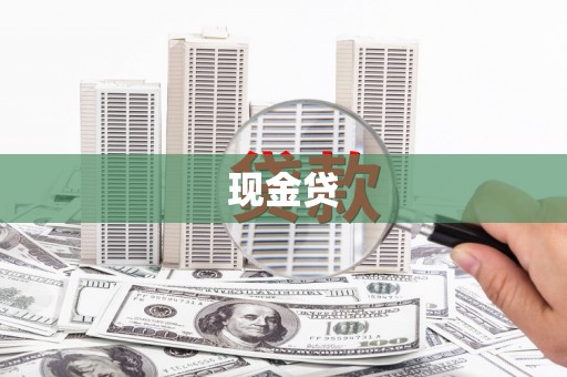 普湾新区现金贷