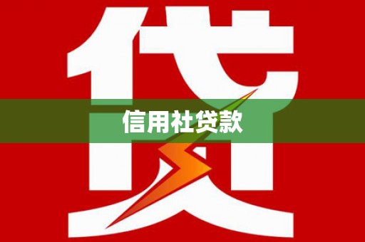 普湾新区信用社贷款