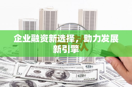 普湾新区企业融资新选择，助力发展新引擎