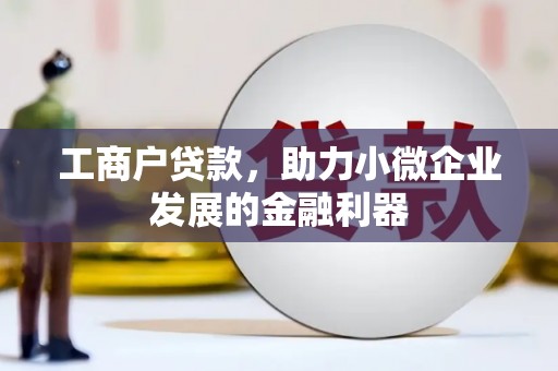 普湾新区工商户贷款，助力小微企业发展的金融利器
