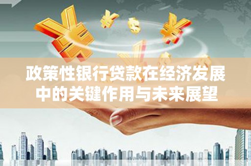 普湾新区政策性银行贷款在经济发展中的关键作用与未来展望