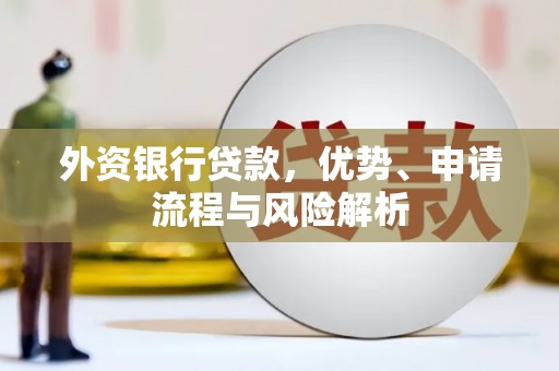 普湾新区外资银行贷款，优势、申请流程与风险解析