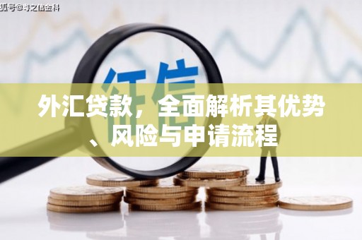 普湾新区外汇贷款，全面解析其优势、风险与申请流程