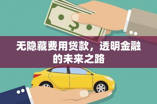 普湾新区无隐藏费用贷款，透明金融的未来之路
