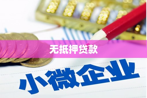 普湾新区无抵押贷款